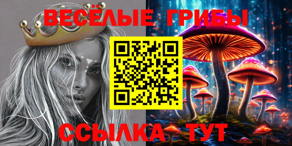 Вышний Волочёк  Галлюциногенные грибы GOLDEN TEACHER  Вход с VPN 