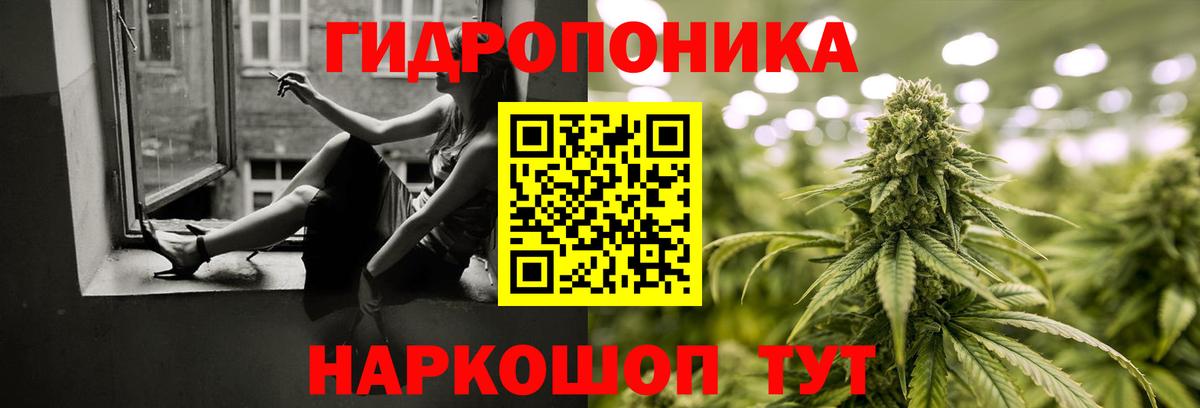 Канабис OG Kush  Вход с VPN  Канабис ГИДРОПОН  Бошки Шишки Amnesia  Вышний Волочёк 